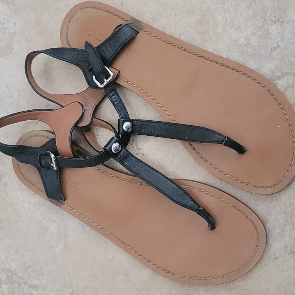 Sandals coach